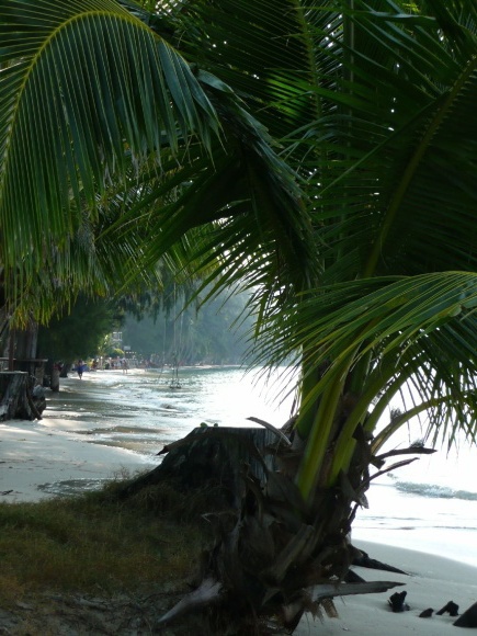 /exotika/!Thajsko/!Thajsko Foto/Plaz-Koh Chang.jpg